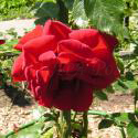 183_fontaine_2_125.jpg