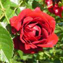 183_fontaine_3_125.jpg