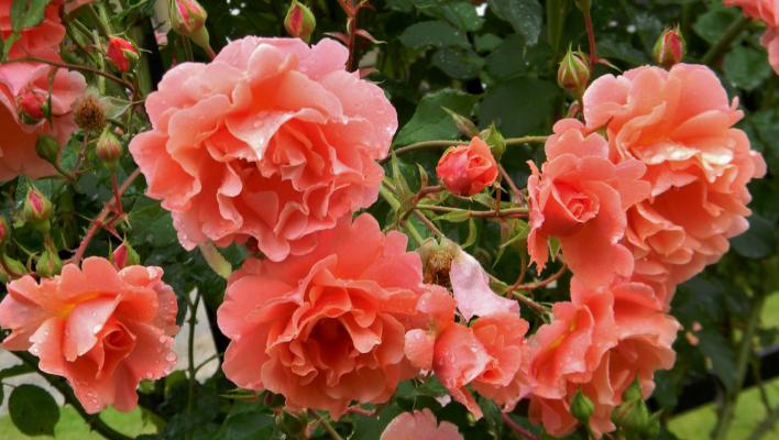 512_alibaba_1_708.jpg