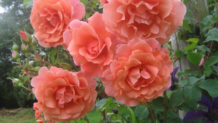 512_alibaba_2_708.jpg